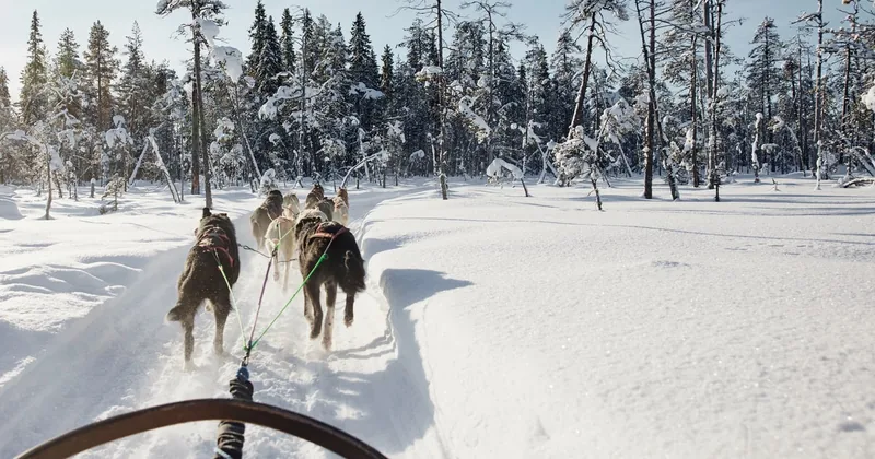 Santa Claus Village Husky Ride