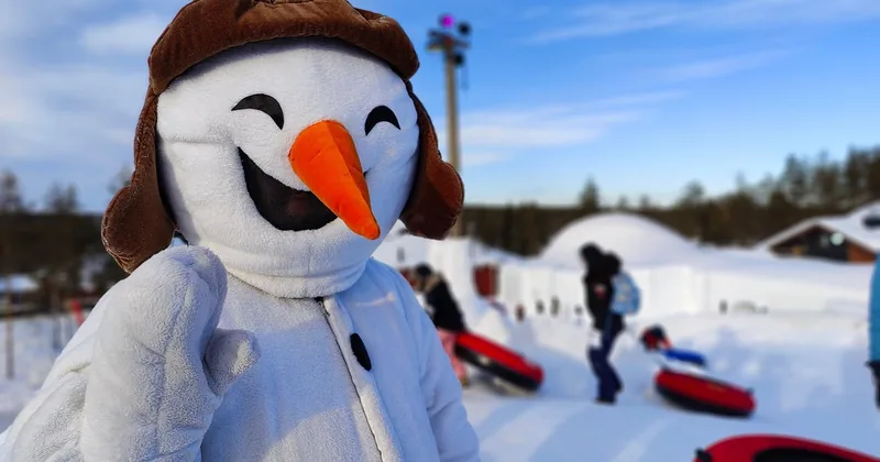 Snowman World Entry Ticket